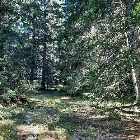 La Petite Foret 1700